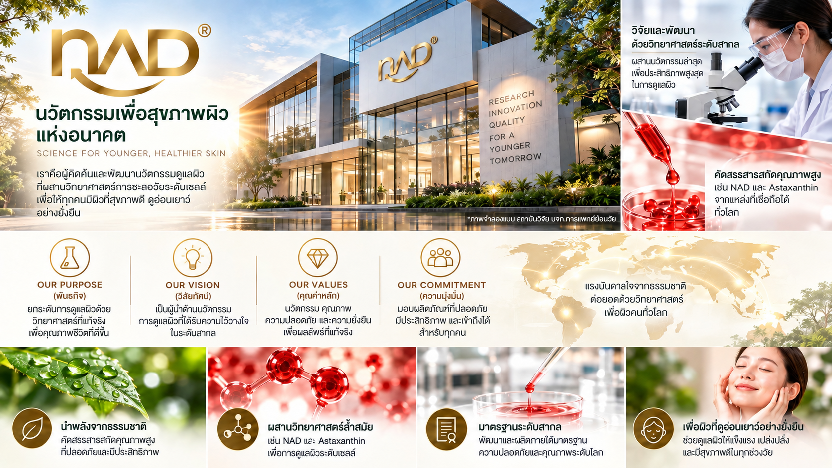 company profile Age reverse medical การแพทย์ย้อนวัย